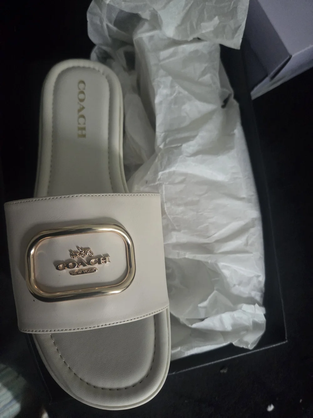 Coach Pale Pink Platform Slide Sandals with Gold Buckle